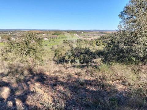 Terreno rustico com 1,425 hectares