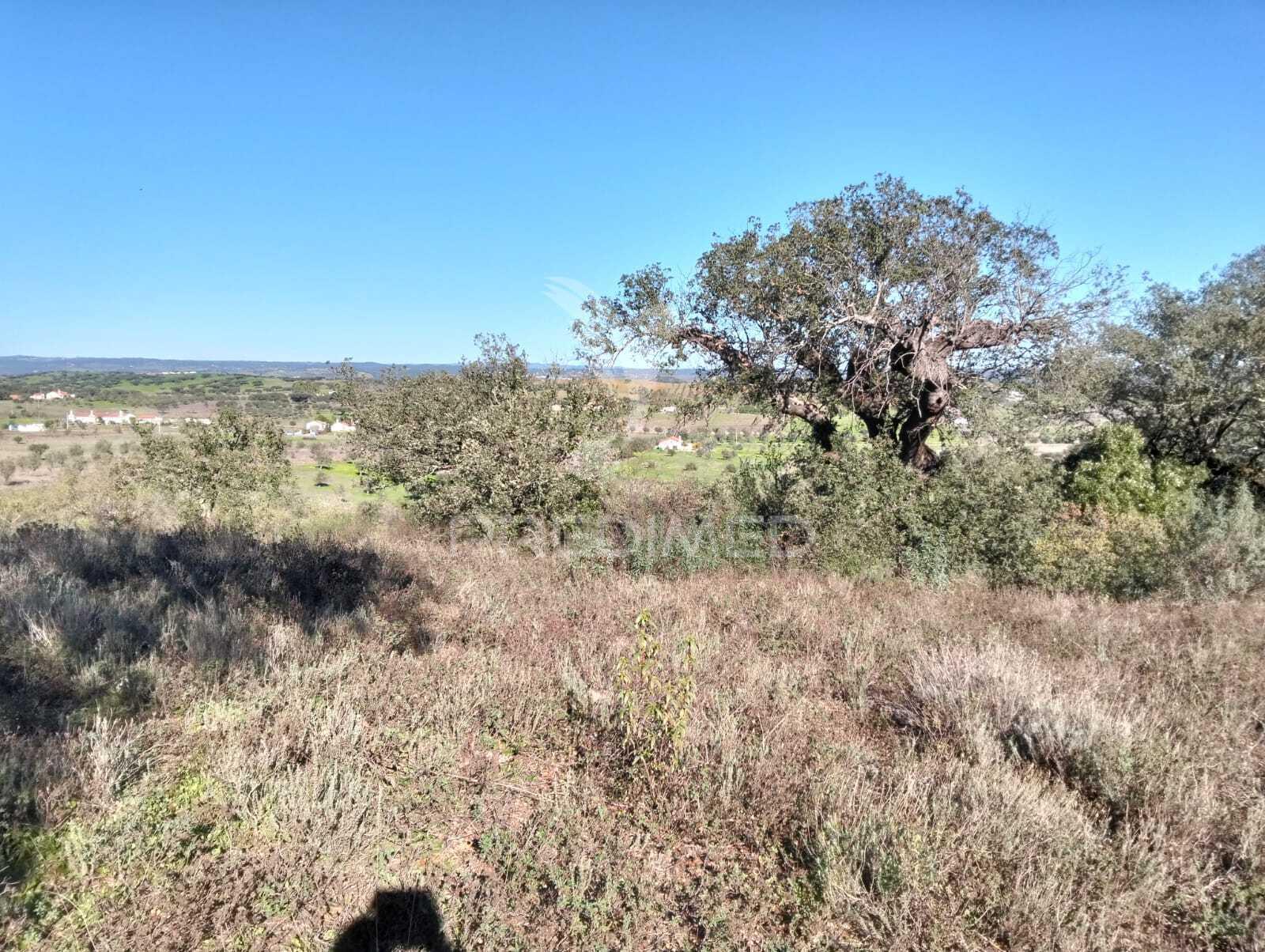 Terreno rustico com 1,425 hectares