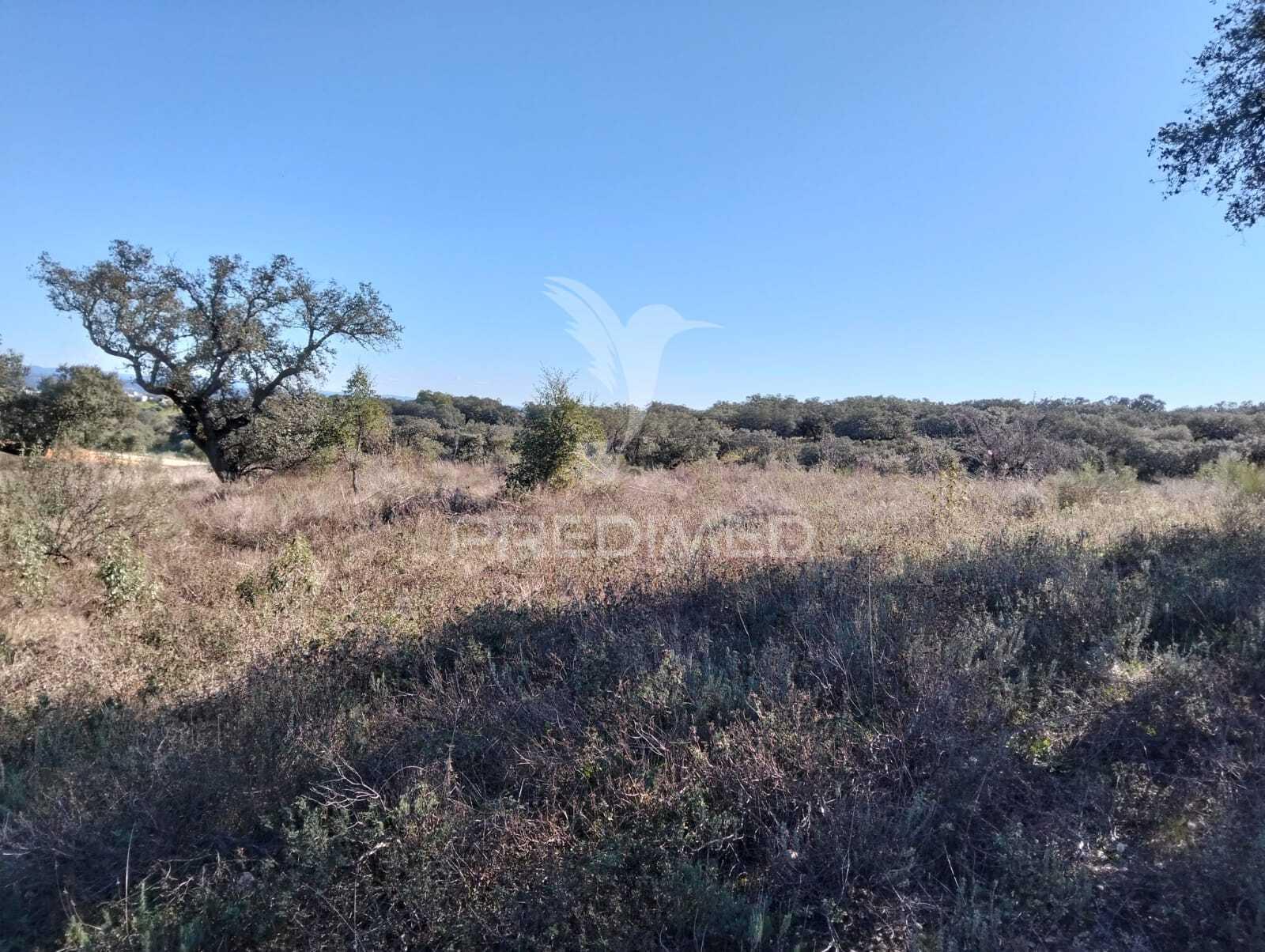 Terreno rustico com 1,425 hectares