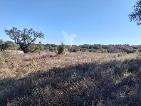 Terreno rustico com 1,425 hectares