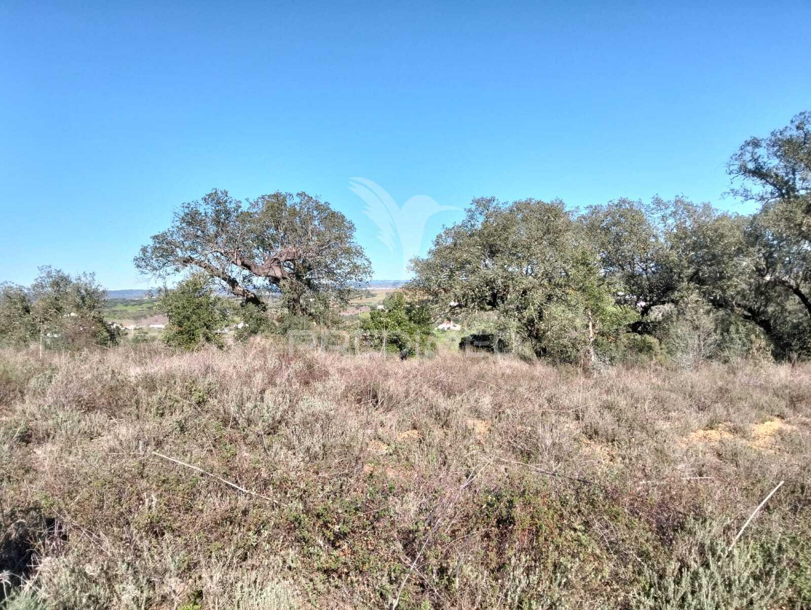 Terreno rustico com 1,425 hectares