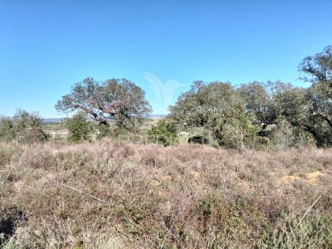 Terreno rustico com 1,425 hectares