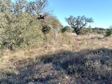 Terreno rustico com 1,425 hectares