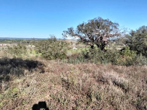 Terreno rustico com 1,425 hectares