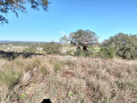 Terreno rustico com 1,425 hectares