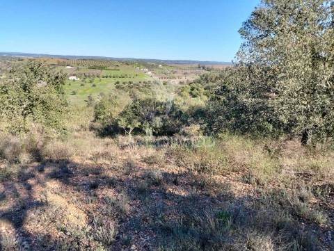 Terreno rustico com 1,425 hectares