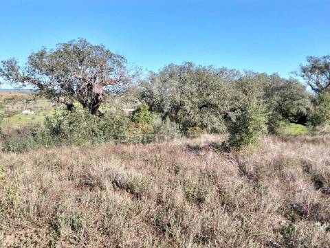 Terreno rustico com 1,425 hectares