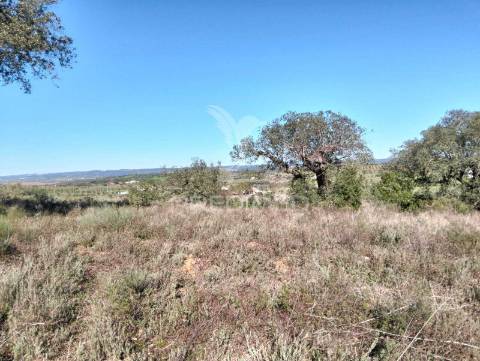 Terreno rustico com 1,425 hectares