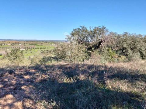 Terreno rustico com 1,425 hectares