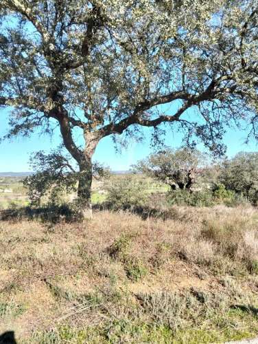 Terreno rustico com 1,425 hectares