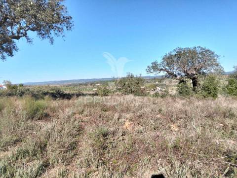 Terreno rustico com 1,425 hectares