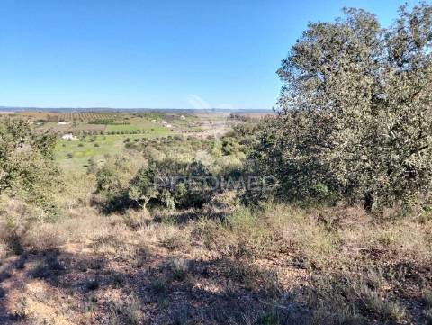 Terreno rustico com 1,425 hectares