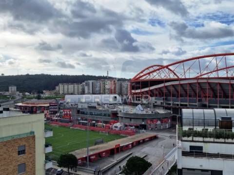 T3 benfica