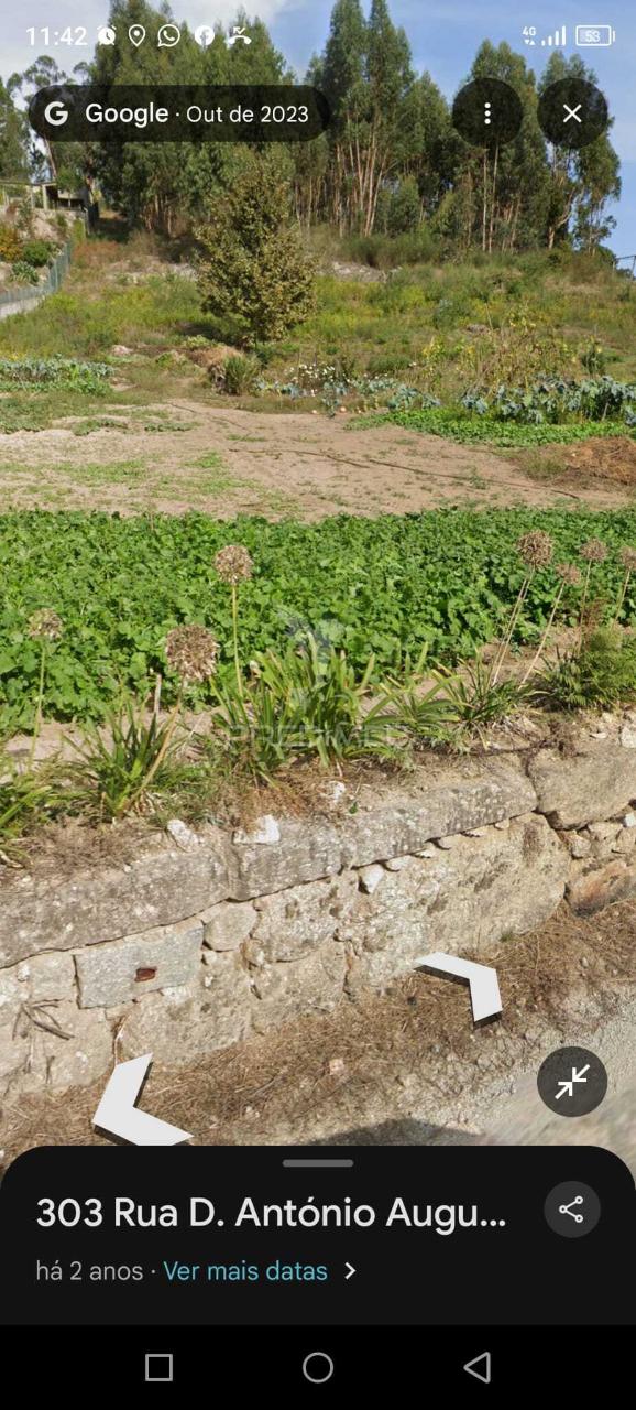 Terreno 5.000 m² com potencial de construção | boim – lousada