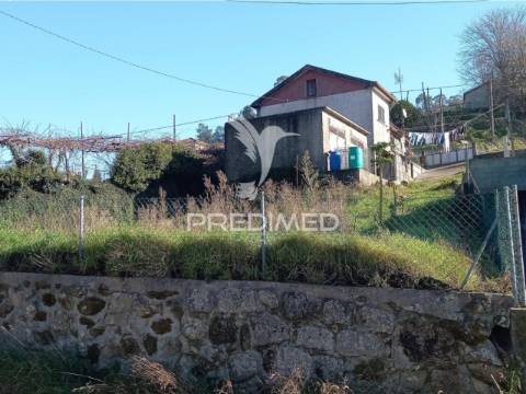 Fantástica quintinha – cepães, fafe ?!