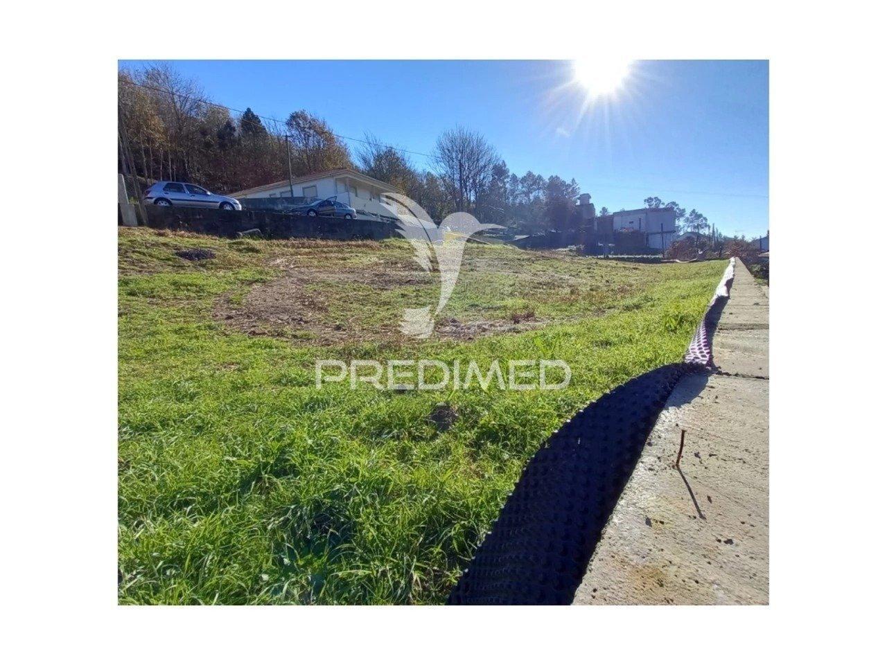 Fantástica quintinha – cepães, fafe ?!