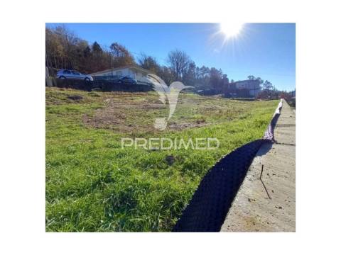 Fantástica quintinha – cepães, fafe ?!