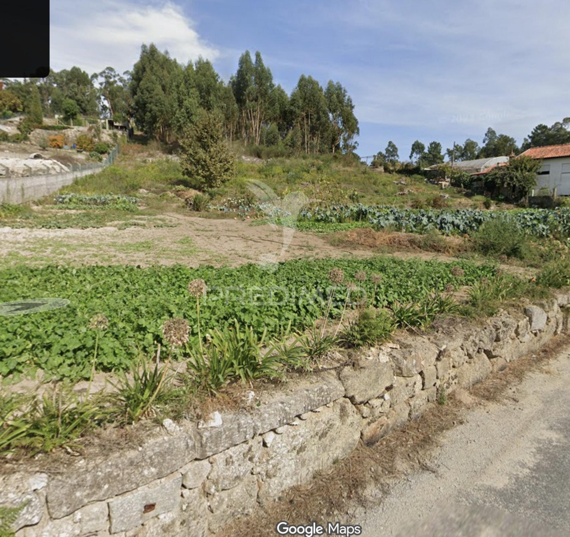 Terreno 5.000 m² com potencial de construção | boim – lousada