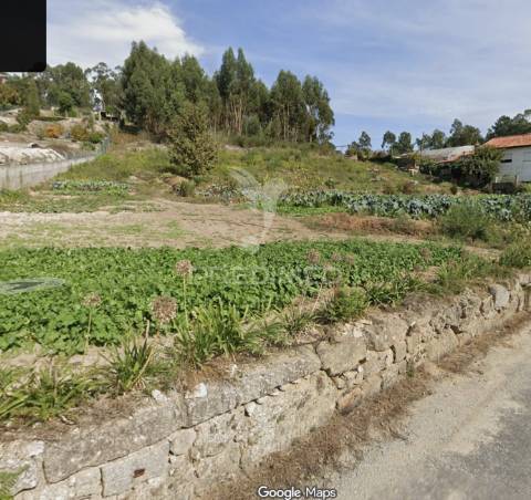 Terreno 5.000 m² com potencial de construção | boim – lousada