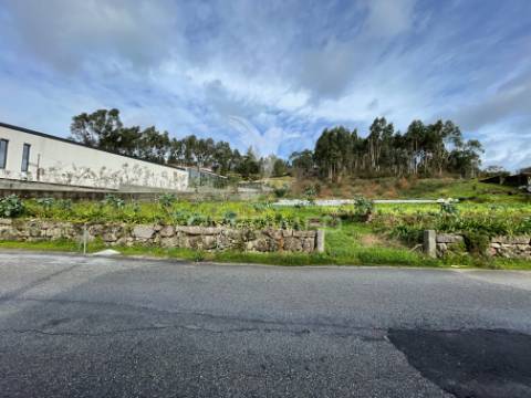 Terreno 5.000 m² com potencial de construção | boim – lousada