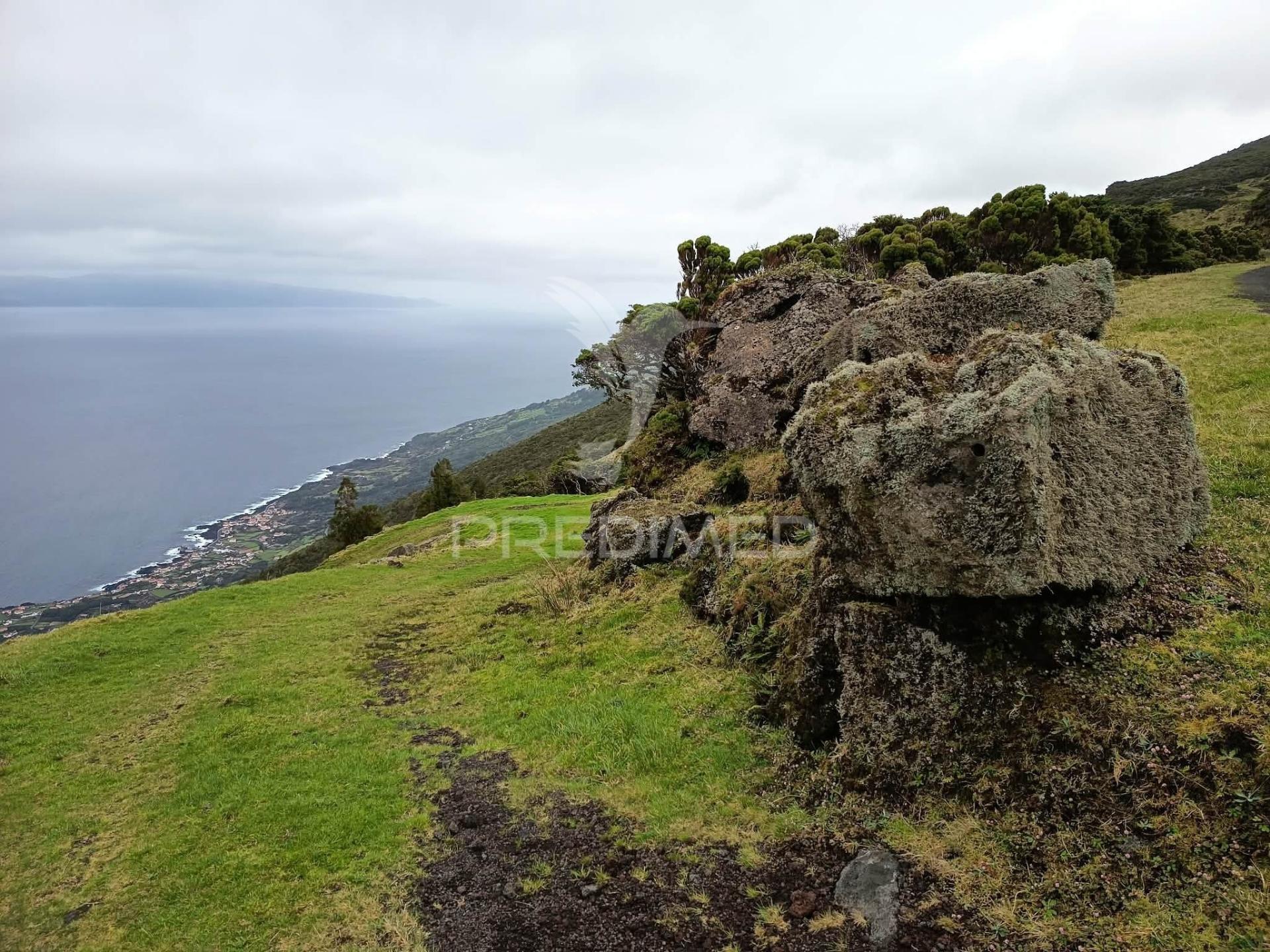 Terreno agrícola, para venda, na prainha, são roque do pico