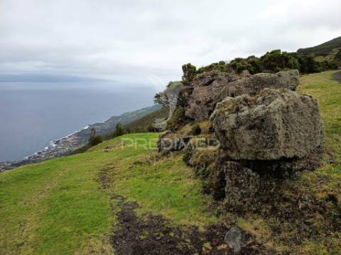 Terreno agrícola, para venda, na prainha, são roque do pico