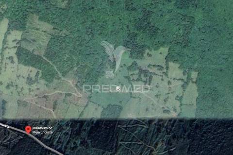 Terreno agrícola, para venda, na prainha, são roque do pico