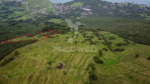 Terreno agrícola, para venda, na prainha, são roque do pico