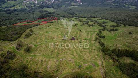 Terreno agrícola, para venda, na prainha, são roque do pico