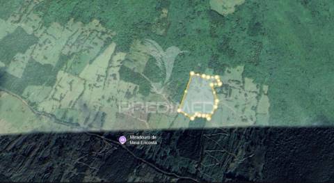 Terreno agrícola, para venda, na prainha, são roque do pico