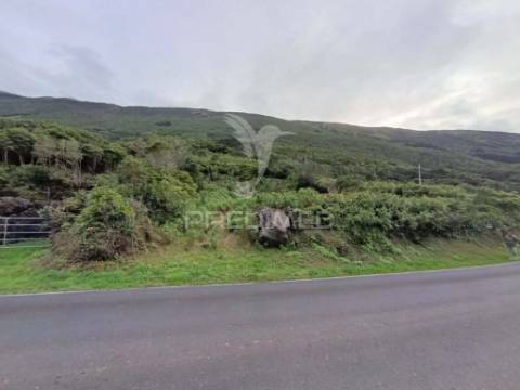 Terreno, para venda, em santo amaro, são roque do pico