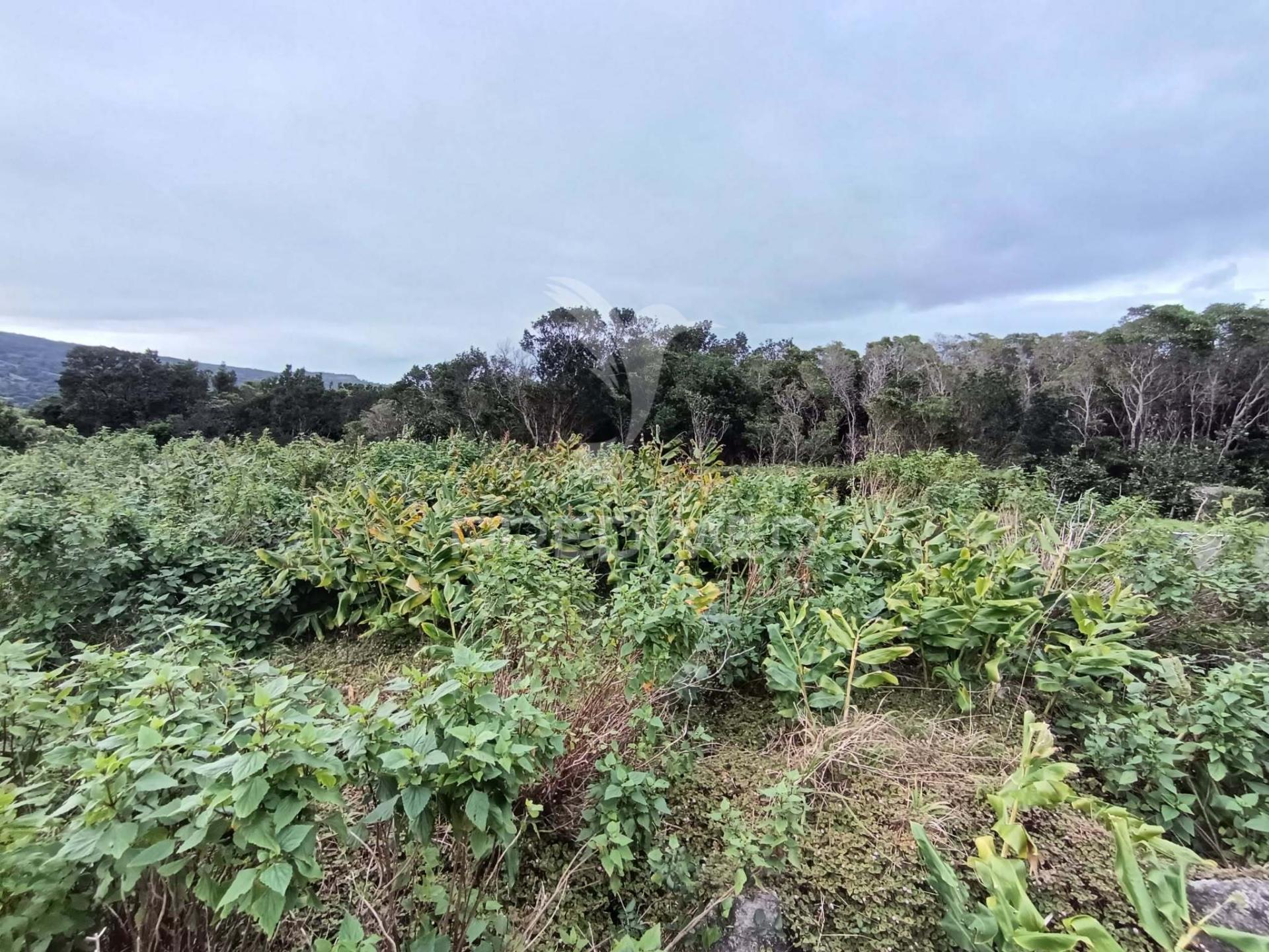 Terreno, para venda, em santo amaro, são roque do pico