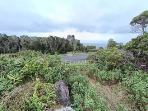 Terreno, para venda, em santo amaro, são roque do pico