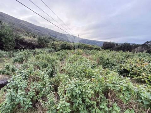 Terreno, para venda, em santo amaro, são roque do pico