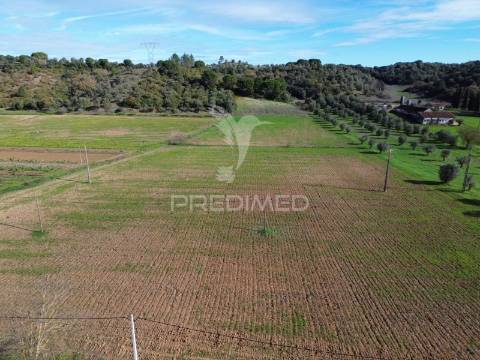 Terreno rústico em pernes – santarém | 2.744 m²