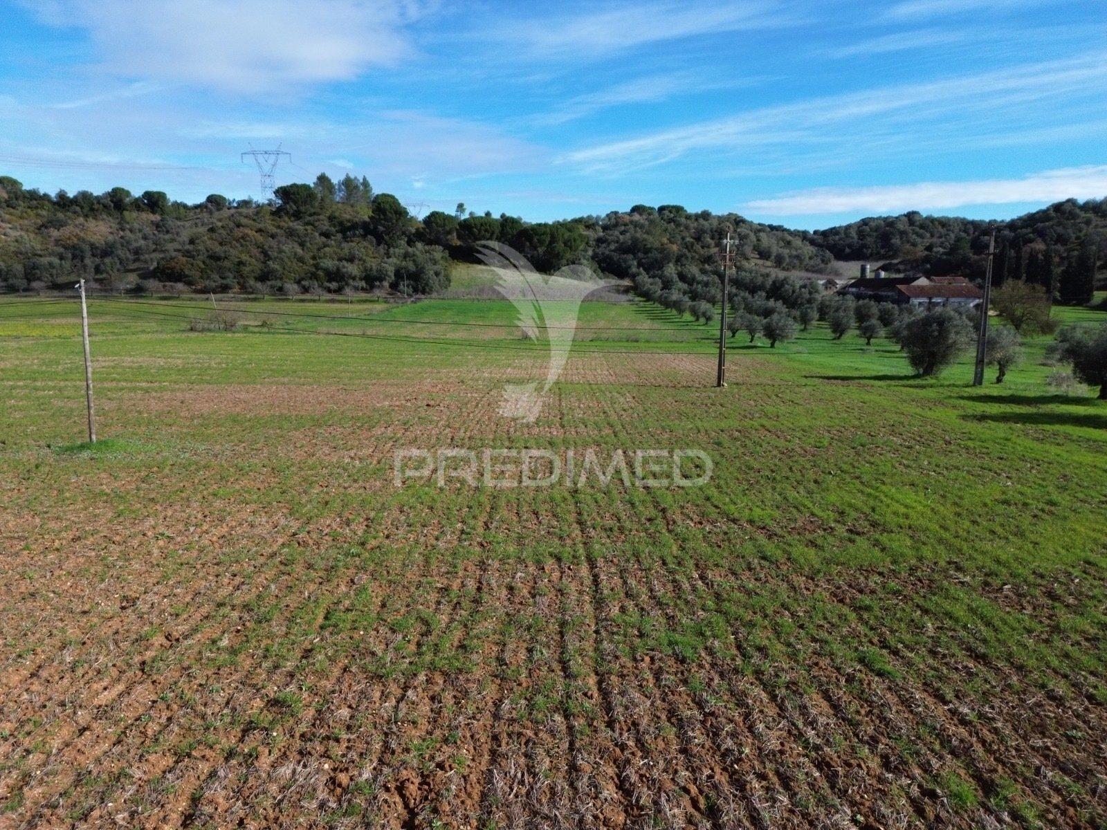 Terreno rústico em pernes – santarém | 2.744 m²