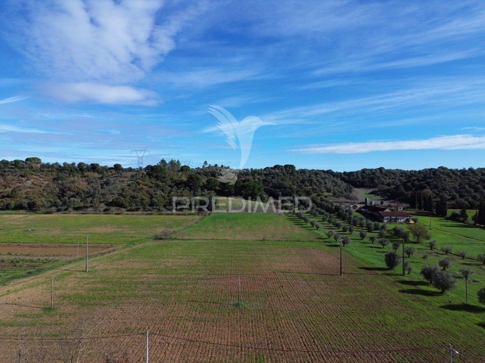 Terreno rústico em pernes – santarém | 2.744 m²