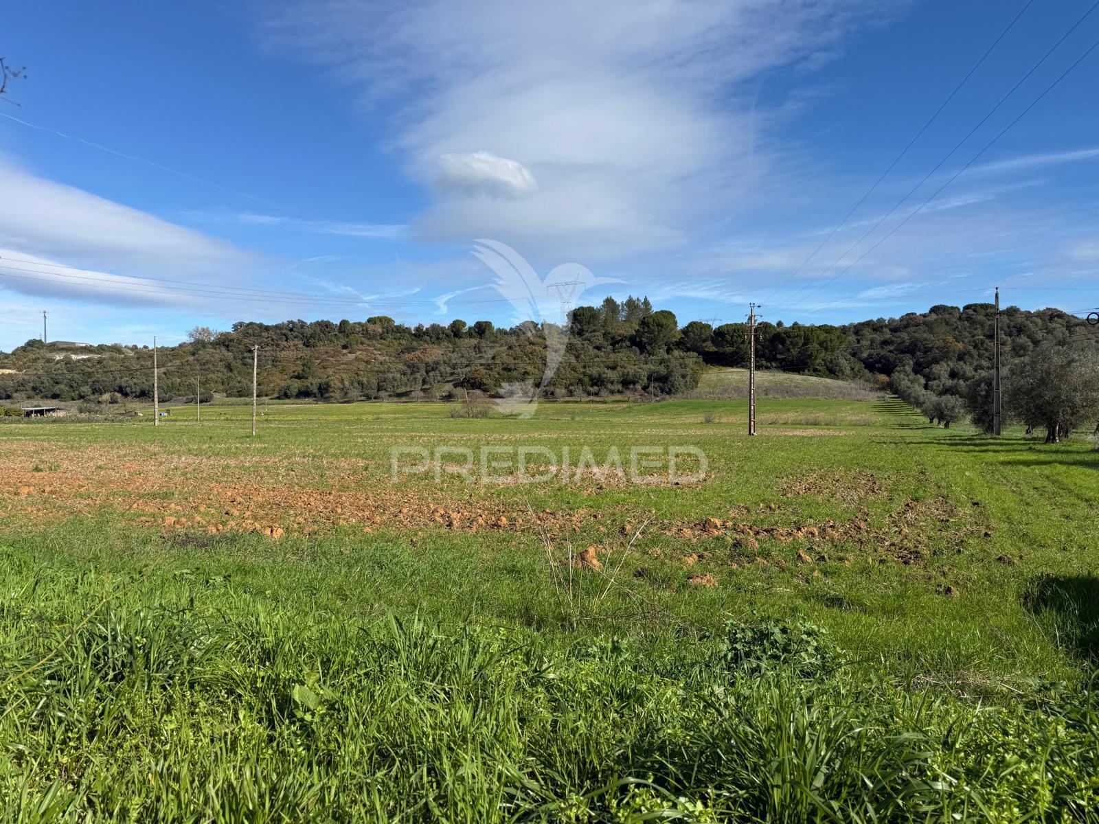 Terreno rústico em pernes – santarém | 2.744 m²