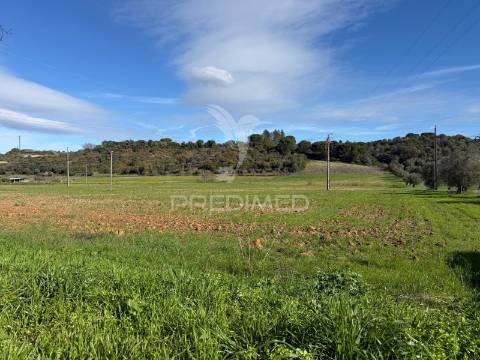 Terreno rústico em pernes – santarém | 2.744 m²