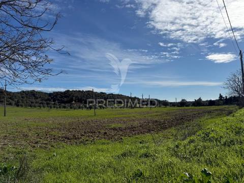 Terreno rústico em pernes – santarém | 2.744 m²