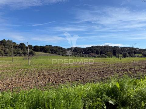 Terreno rústico em pernes – santarém | 2.744 m²
