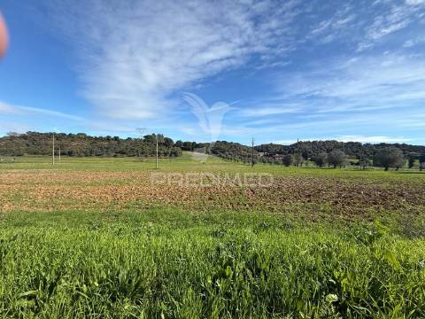 Terreno rústico em pernes – santarém | 2.744 m²