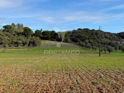 Terreno rústico em pernes – santarém | 2.744 m²
