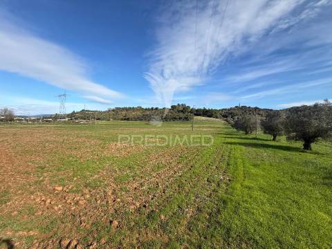 Terreno rústico em pernes – santarém | 2.744 m²