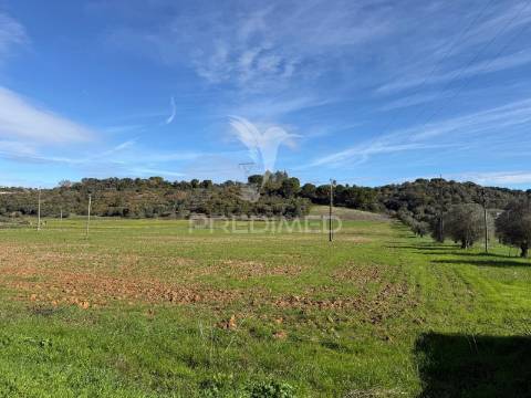 Terreno rústico em pernes – santarém | 2.744 m²