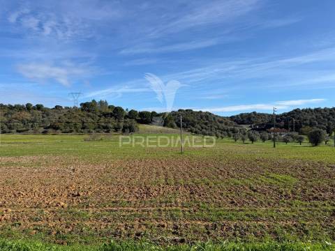 Terreno rústico em pernes – santarém | 2.744 m²