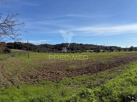 Terreno rústico em pernes – santarém | 2.744 m²