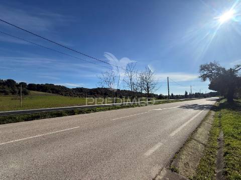 Terreno rústico em pernes – santarém | 2.744 m²