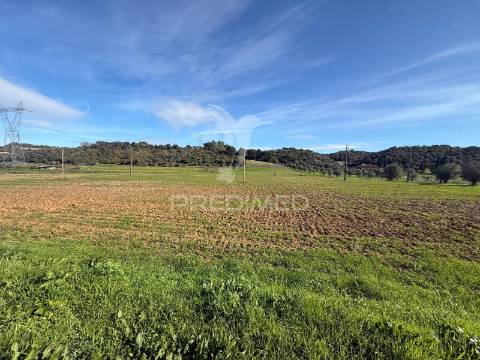 Terreno rústico em pernes – santarém | 2.744 m²