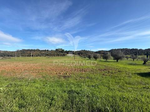 Terreno rústico em pernes – santarém | 2.744 m²